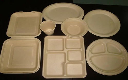 最新環保材料 甘蔗和竹子也能制作餐具 60天內可分解