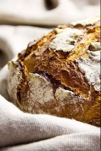 你知道烘焙的過程是怎樣的嗎