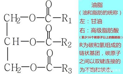 食用油中它的含量越高品質越好,這就是多不飽和脂肪酸