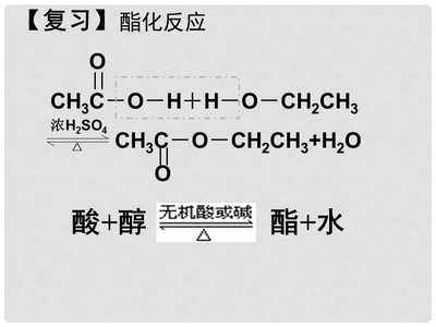 高中化學(xué) 第一章第二節(jié) 重要的體內(nèi)能源油脂課件 人教版選修1