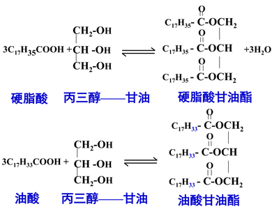 高中化學選修1 重要的體內能源——油脂