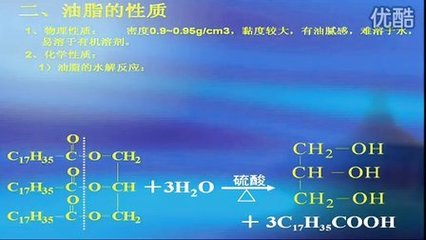 油脂 生命能量與化學(xué)智慧的結(jié)晶